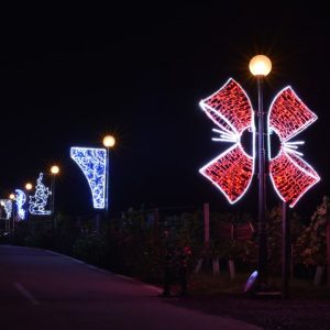 Staruri